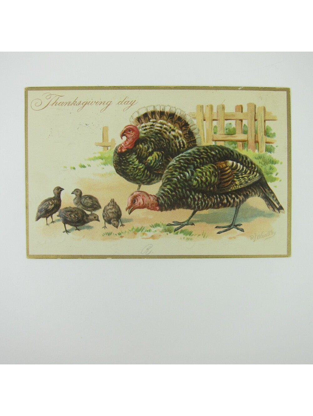 Thanksgiving Postcard Wild Turkeys Raphael Tuck Embossed Antique 1908
